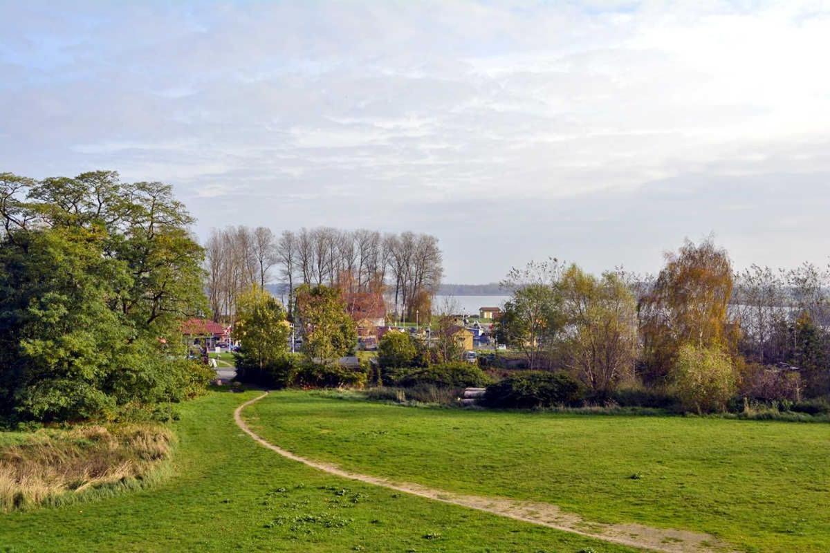 Reetdachhaus Im Fischerdorf Freest Extérieur photo